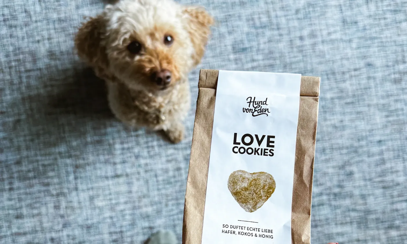 Ein Hund schaut auf die Lobe Cookies von Hund von Eden