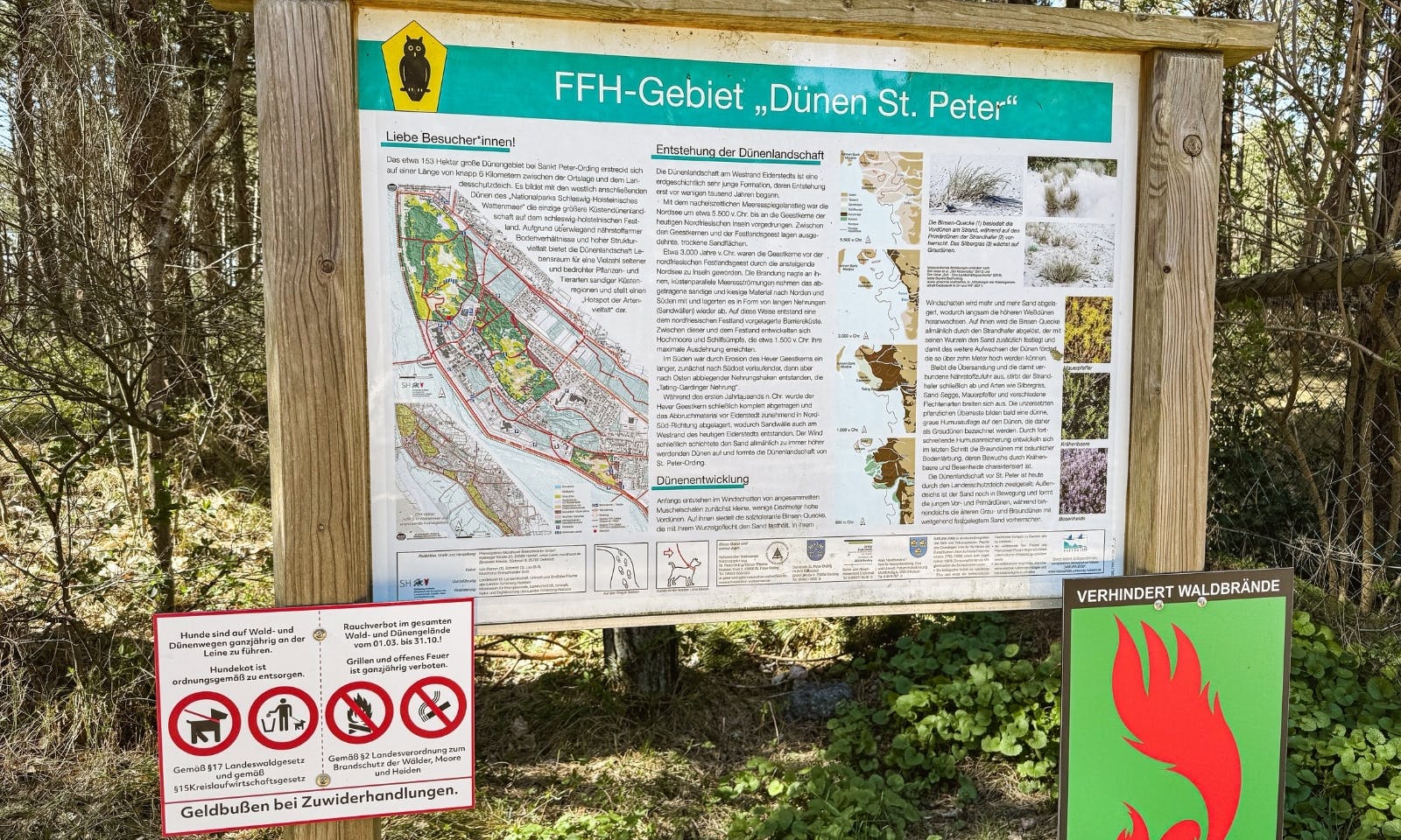 Dünen & Wald in SPO