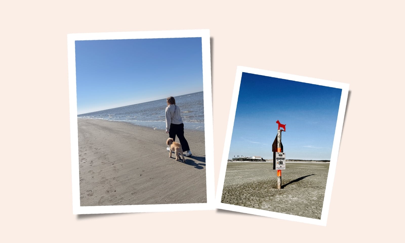 Urlaub in St. Peter-Ording mit Hund