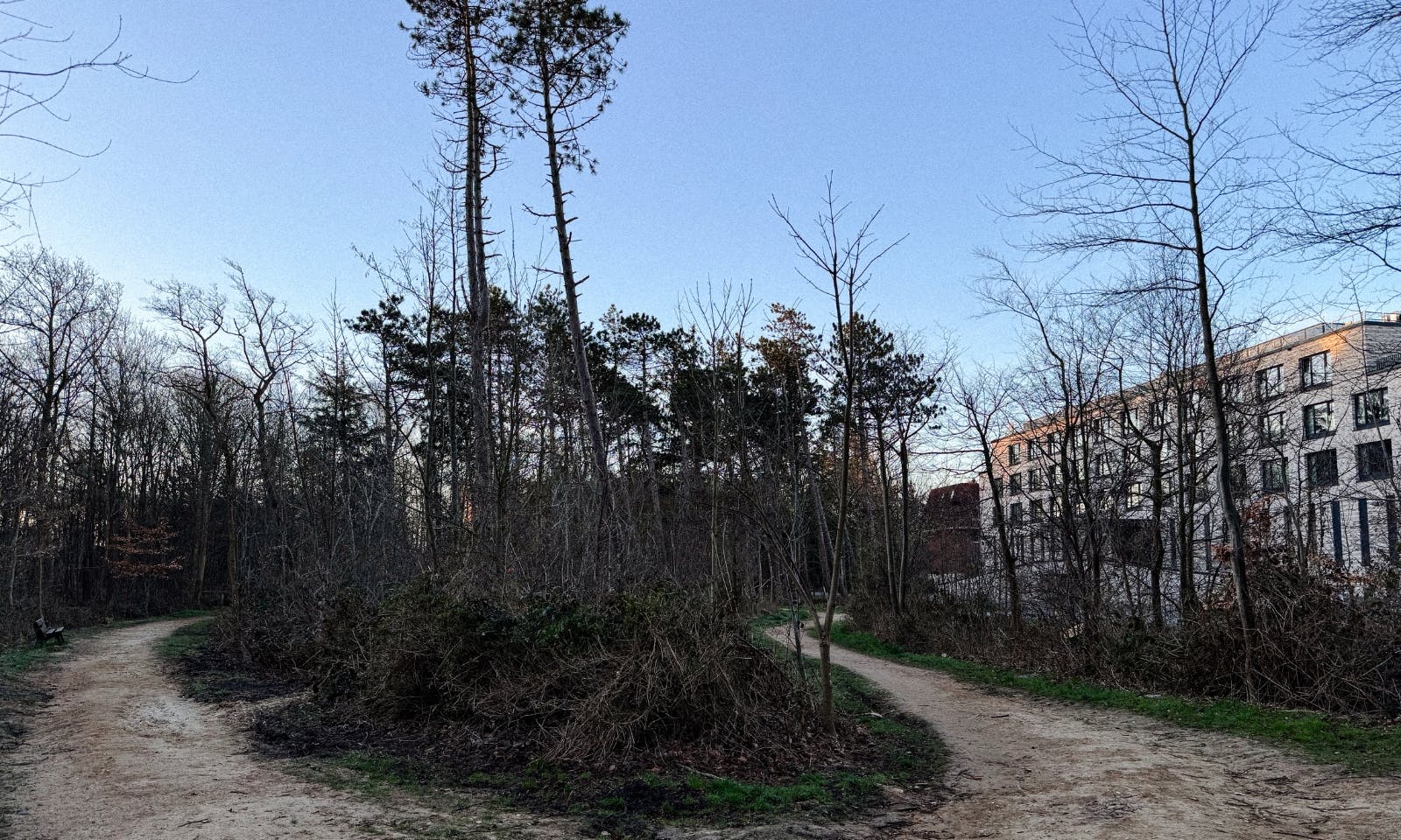 Urlaub mit Hund in St. Peter-Ording