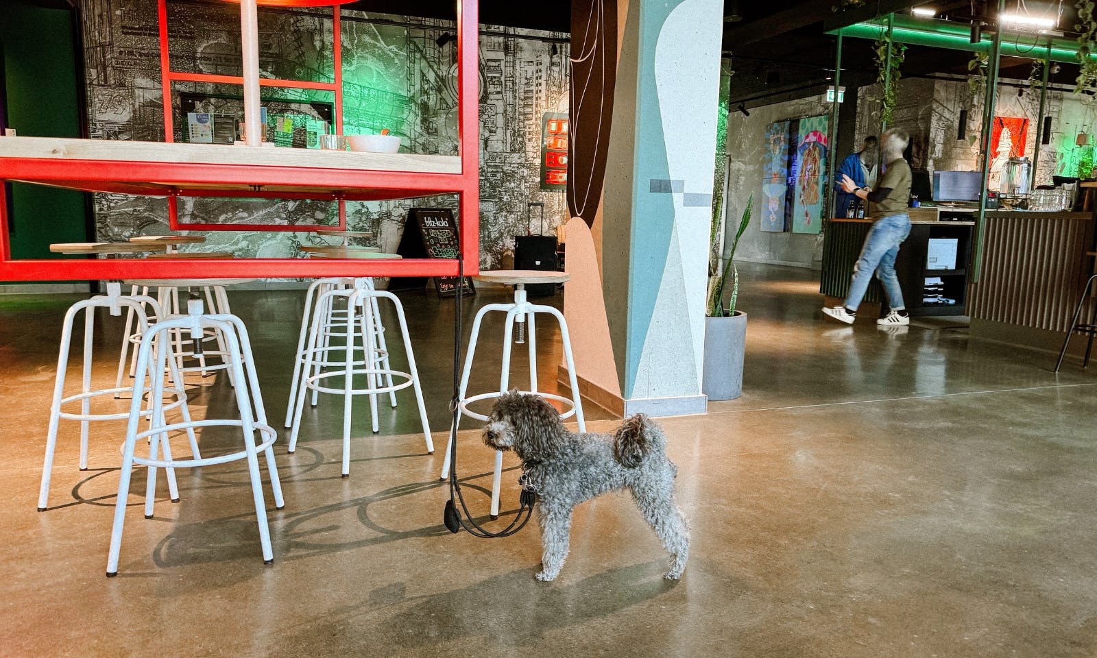 Hunderegeln im Urban Nature