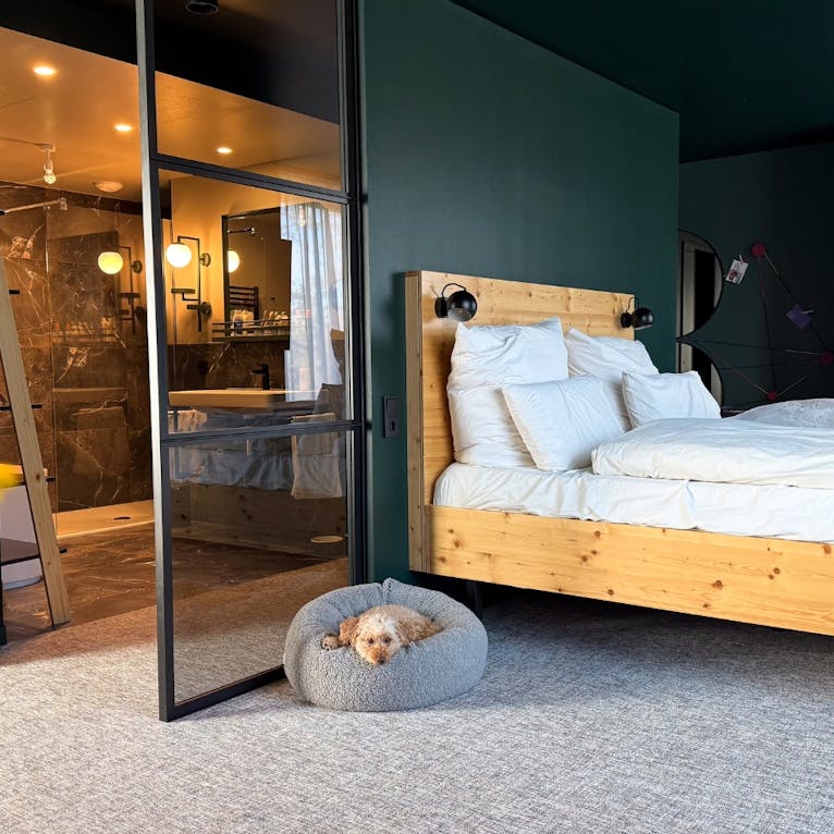 Urban Nature Suite mit Hund