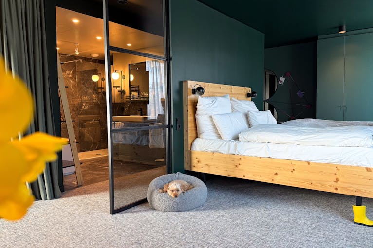 Urban Nature Suite mit Hund