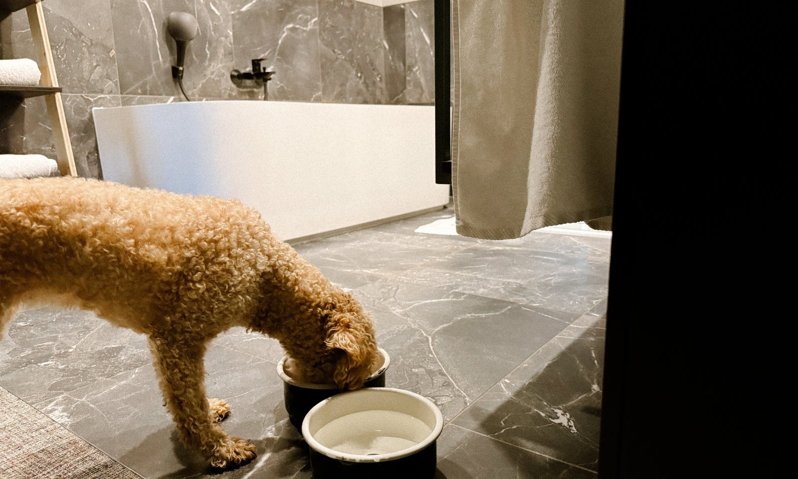 Ausstattung für Hunde im Urban Nature Hotel in SPO