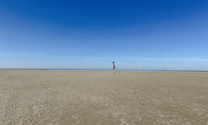 Hundestrand SPO