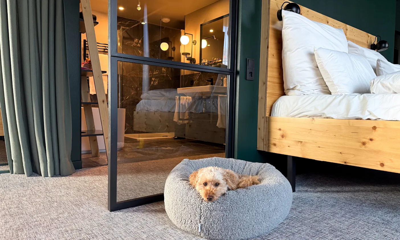 Green Horizon Suite mit Hund