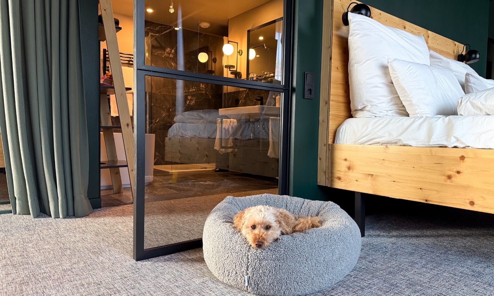 Green Horizon Suite mit Hund