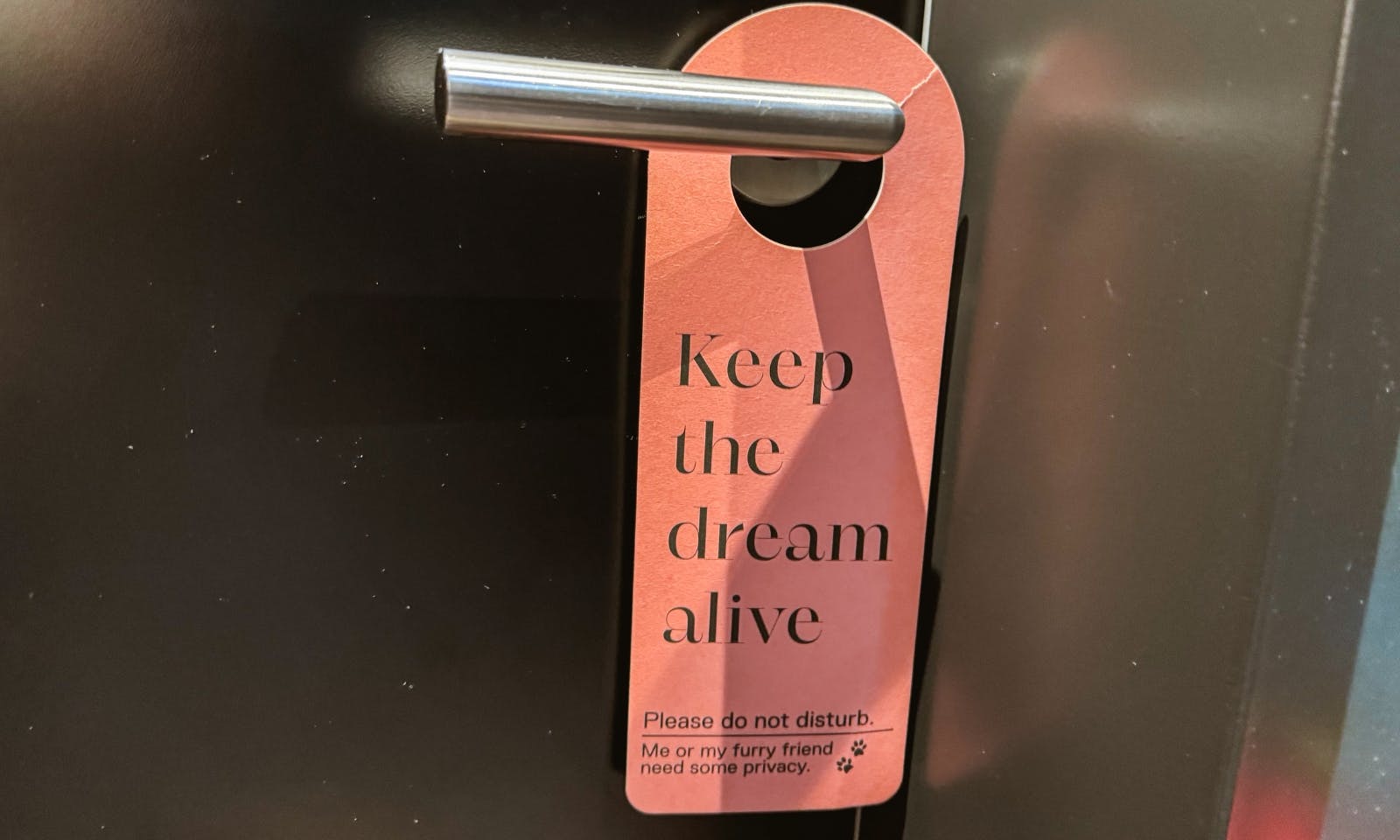 Ausstattung für Hunde