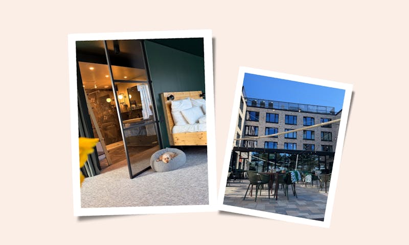 Urban Nature in St. Peter-Ording