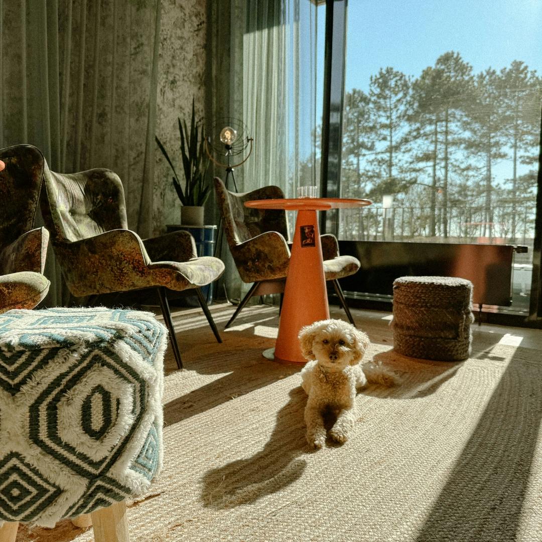 Erfahrungsbericht: Urban Nature mit Hund