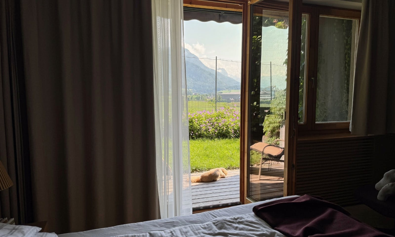 Hund liegt auf der Terasse der WOW Suite des Hotels die Wasnerin