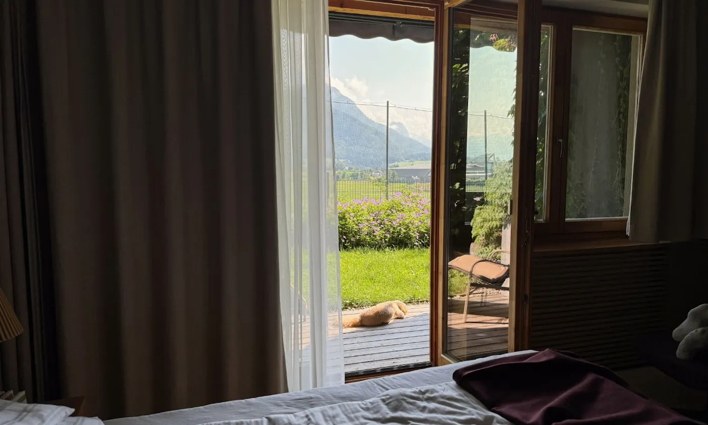 Hund liegt auf der Terasse der WOW Suite des Hotels die Wasnerin