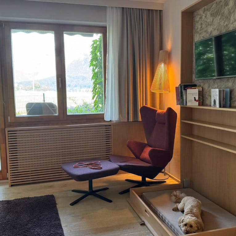 Hund in der Wow-Suite in der Wasnerin in der Steiermark