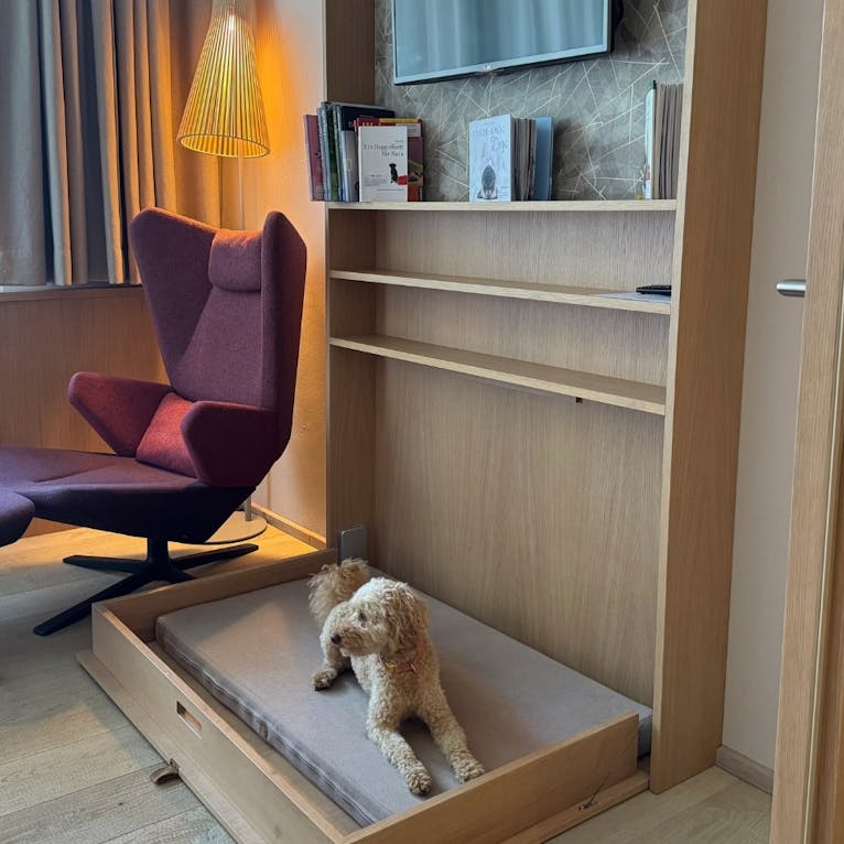 Hund in der Wow-Suite in der Wasnerin in der Steiermark