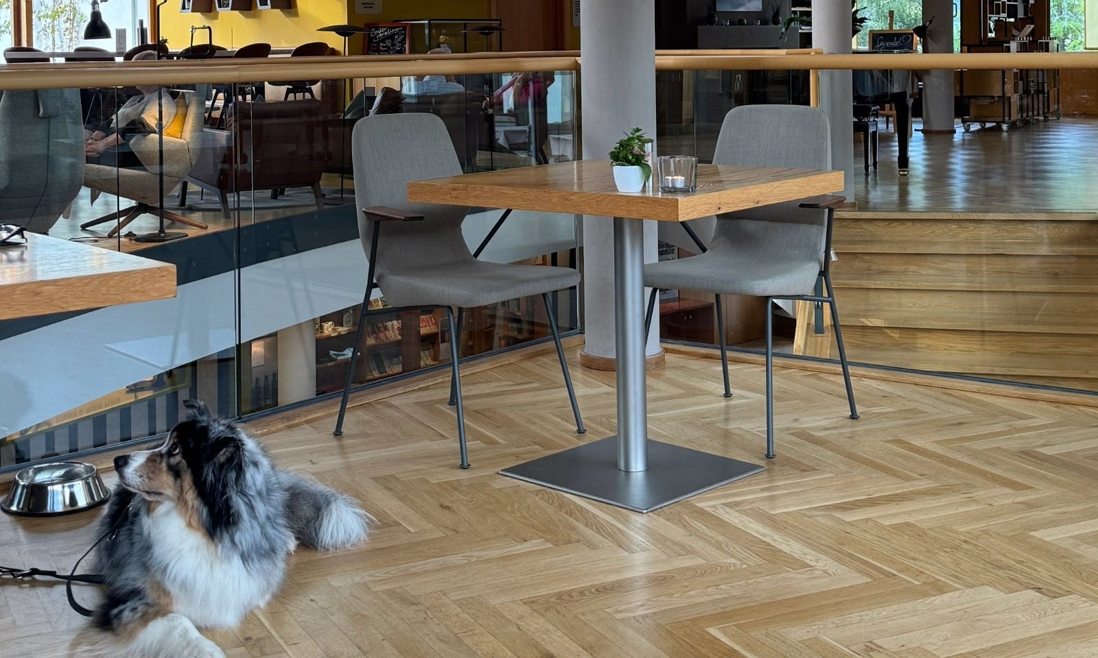 Hund im Restaurant des Hotels die Wasnerin