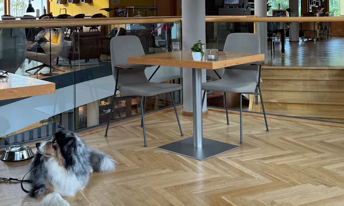 Hund im Restaurant des Hotels die Wasnerin