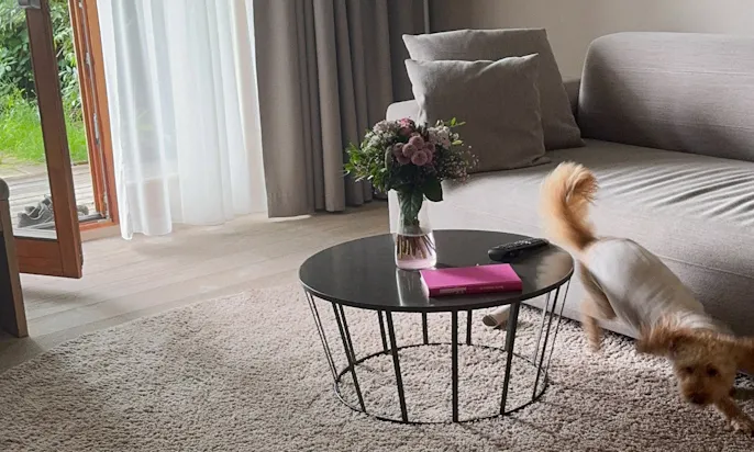 Hund im Wohnbereich der WOW Suite des Hotels die Wasnerin
