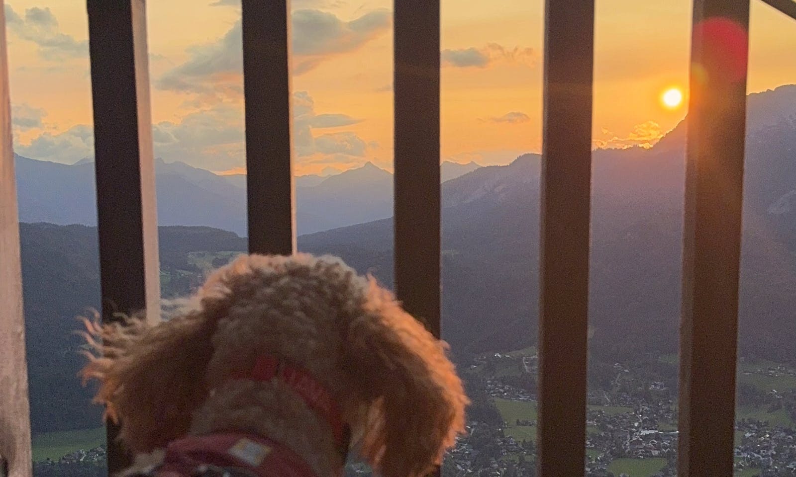 Panorama-Ausblick vom Aussichtsturm auf Dachstein und Seen