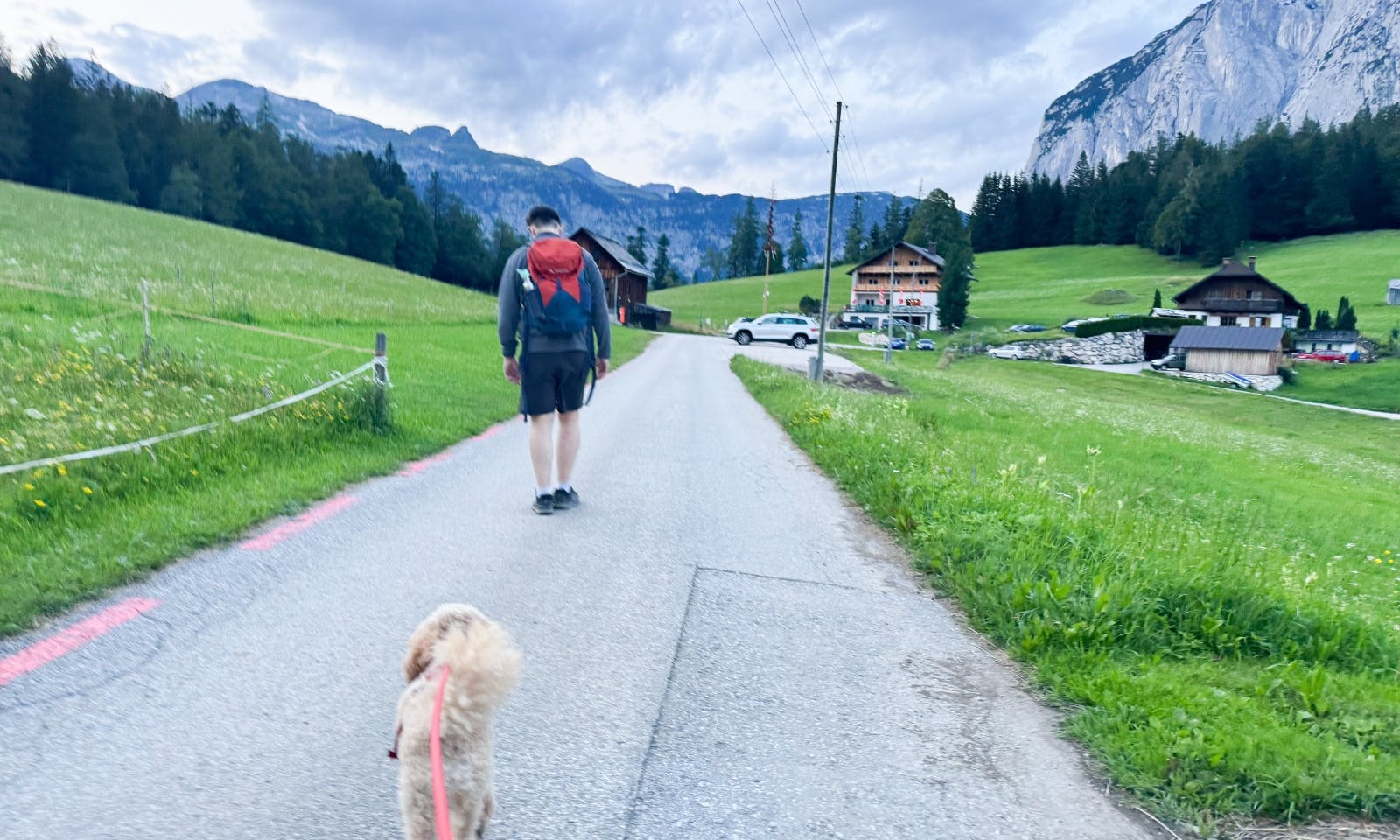 Hund auf dem Weg zur Tressensteinwarte