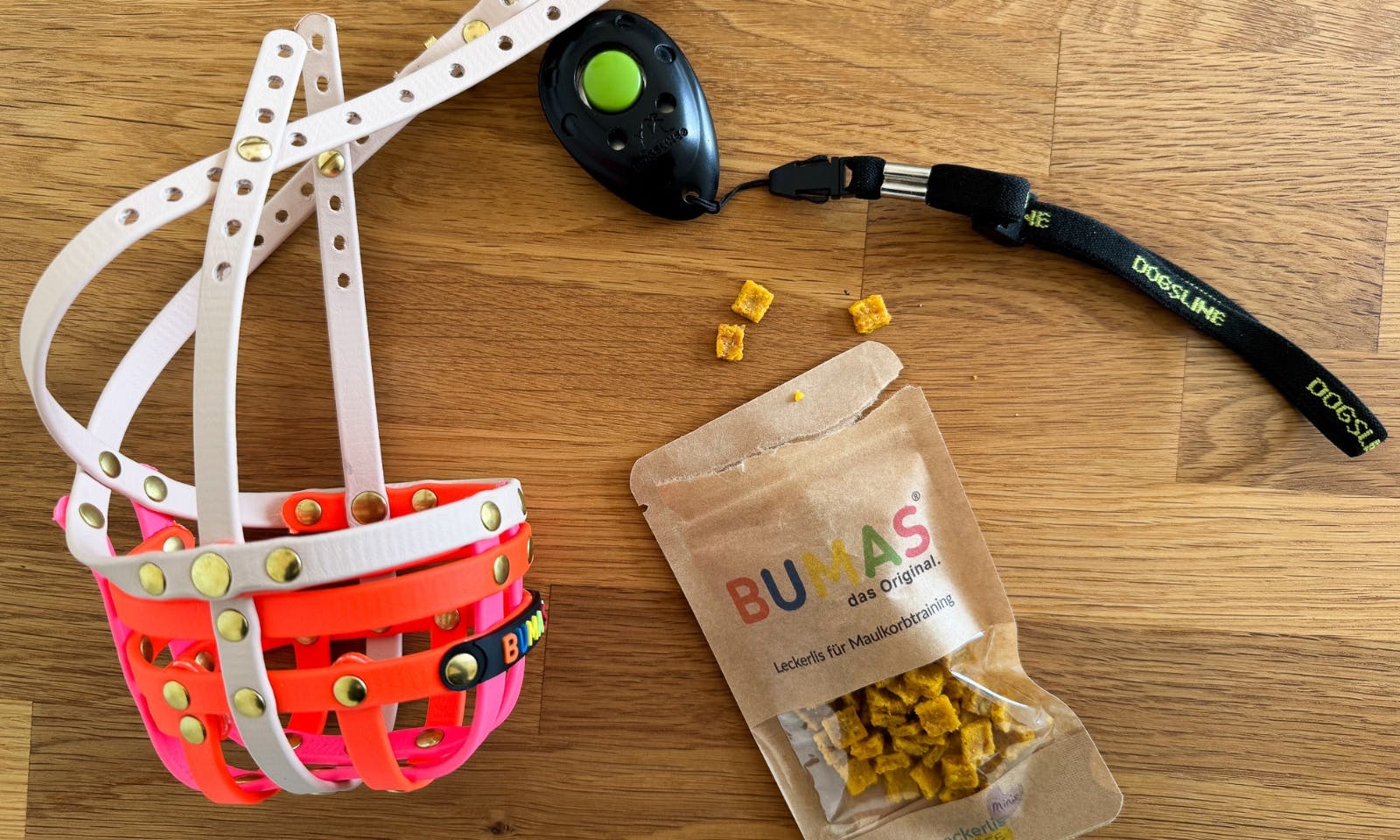 Eingewöhnung an den Maulkorb