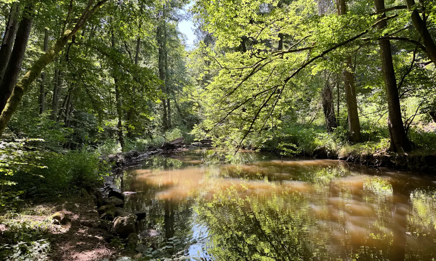 Thulba im Sommer