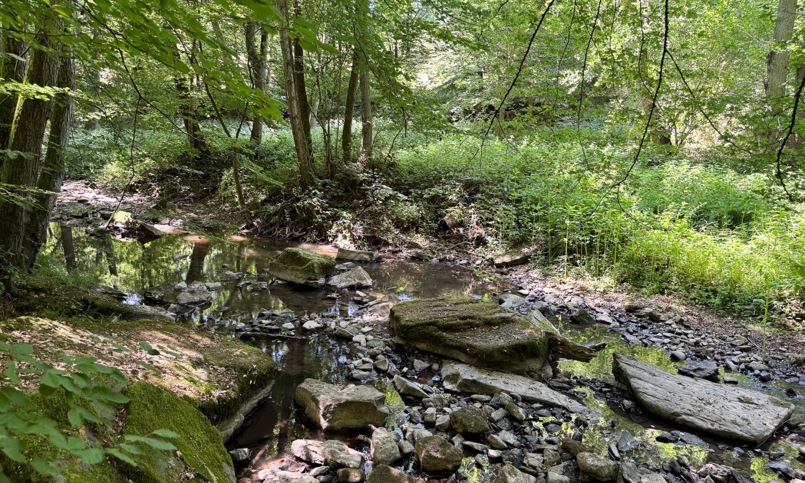 Blick auf die Thulba in Rhön