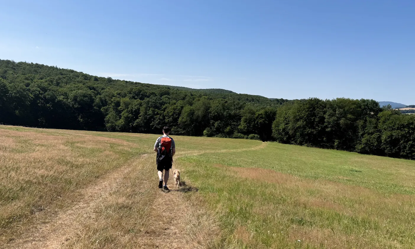 Mann wandert mit Goldendoodle in der Rhön