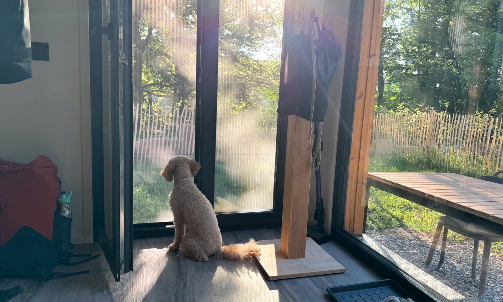 Hund sitzt vor einer Terrassentür im DOGGIA Tiny House