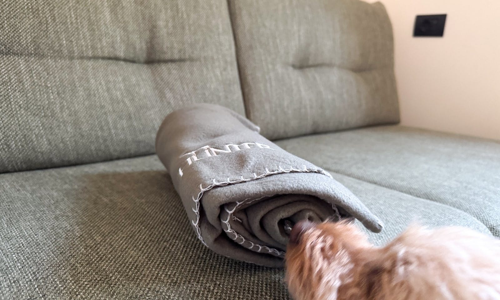 Couch mit einer zusammengerollten Decke im DOGGIA Tiny House