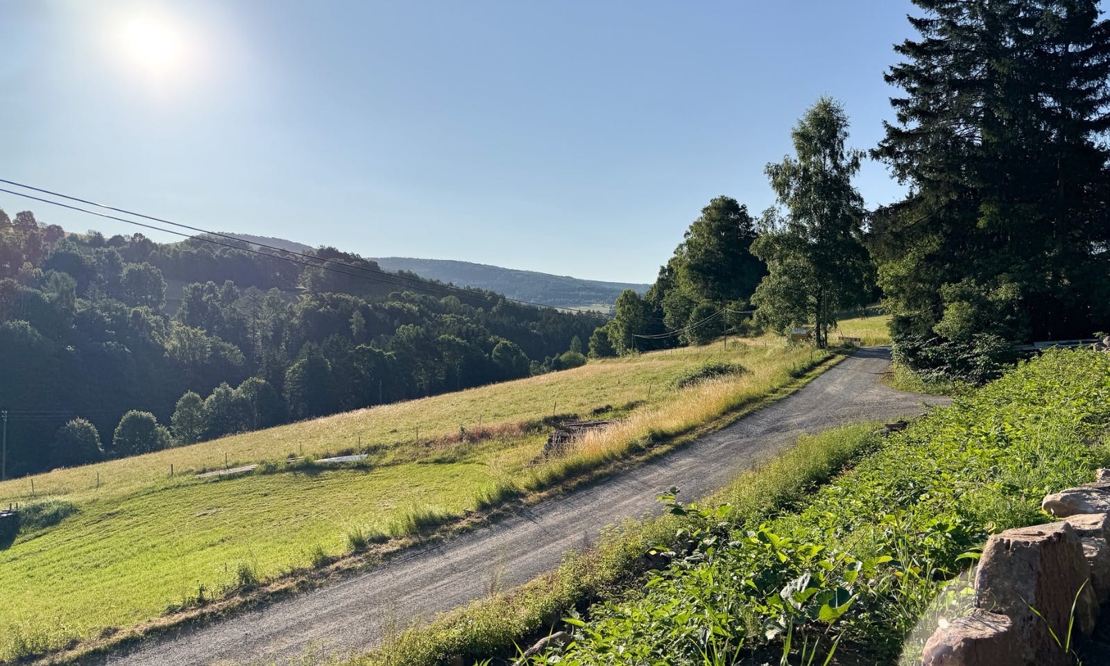 Blick auf die Einfahrt zur den DOGGIA Tiny Houses