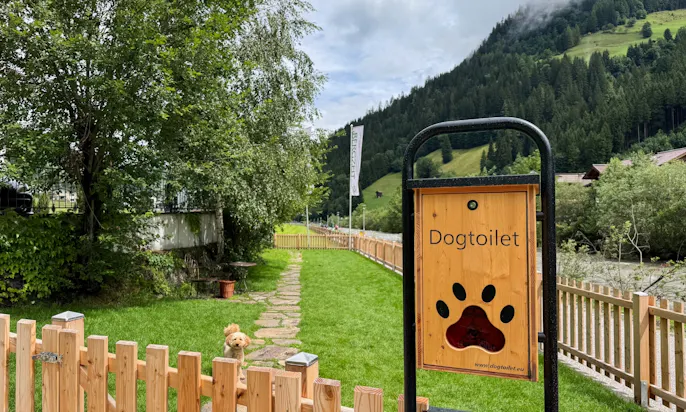 Hundeauslauf des Bergzeit Hotels in Österreich