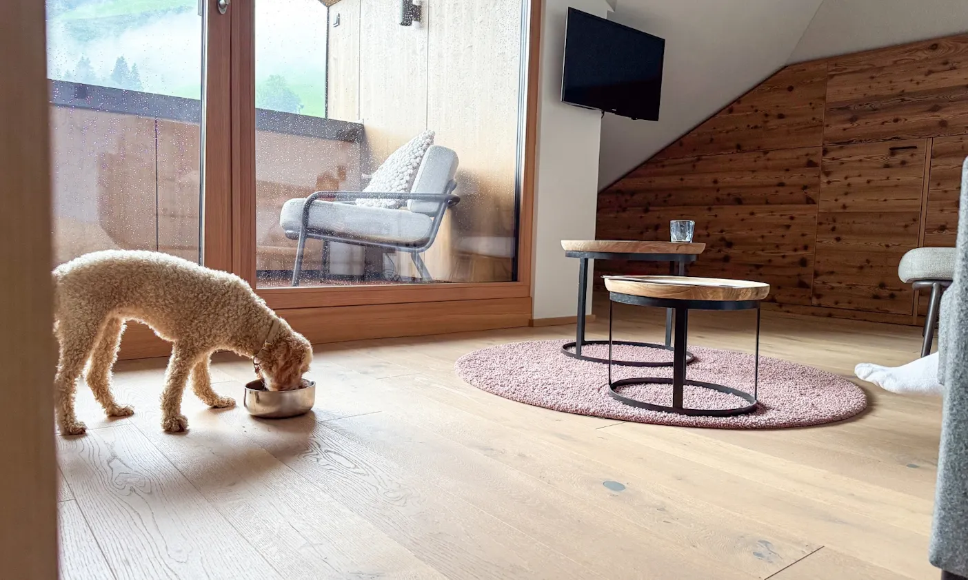 Wohnbereich mit Hund eines der Zimmer im Hotel Bergzeit in Österreich