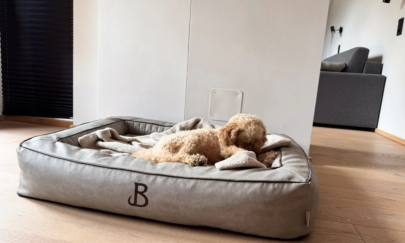 Hundekorb von Cloud7 in einem der Zimmer im Bergzeit Hotel in Österreich
