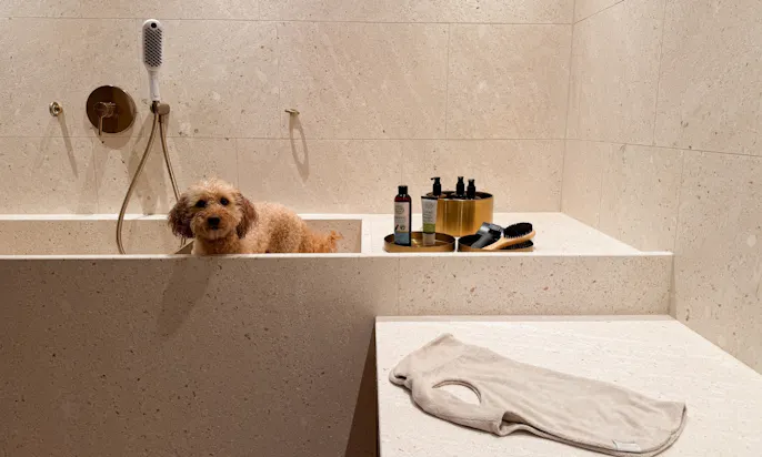 Hund im Hunde-Spa des Hotels Bergzeit in Österreich