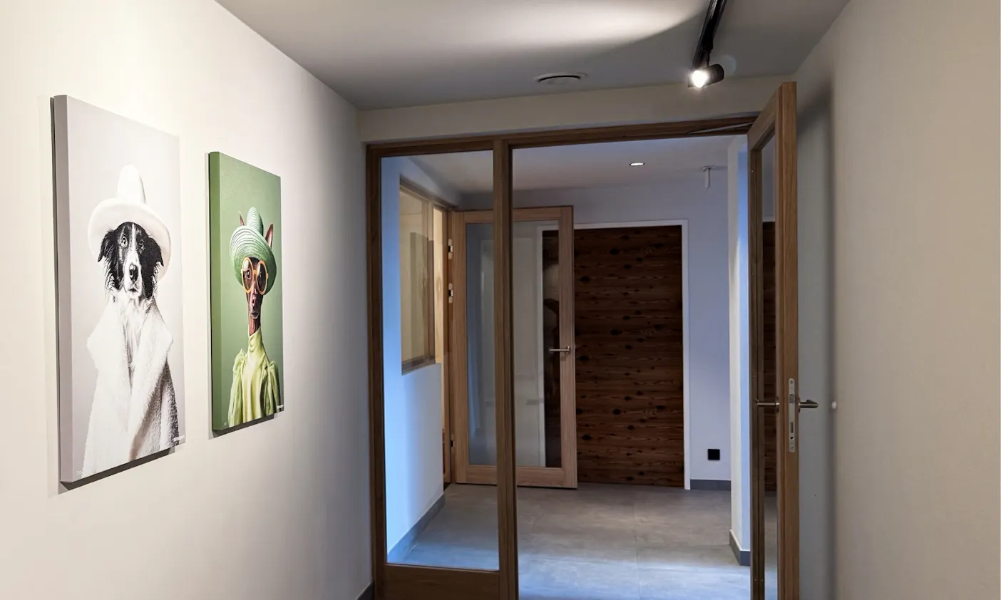 Gang zum Hundespa Hund im Bergzeit Hotel in Österreich