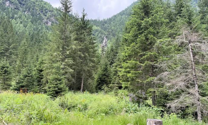 Landschaft am Ötzlsee