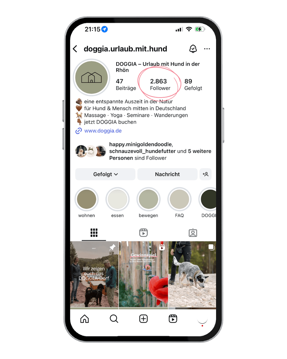 iPhone, welches das Instagram Profil von Doggia zeigt
