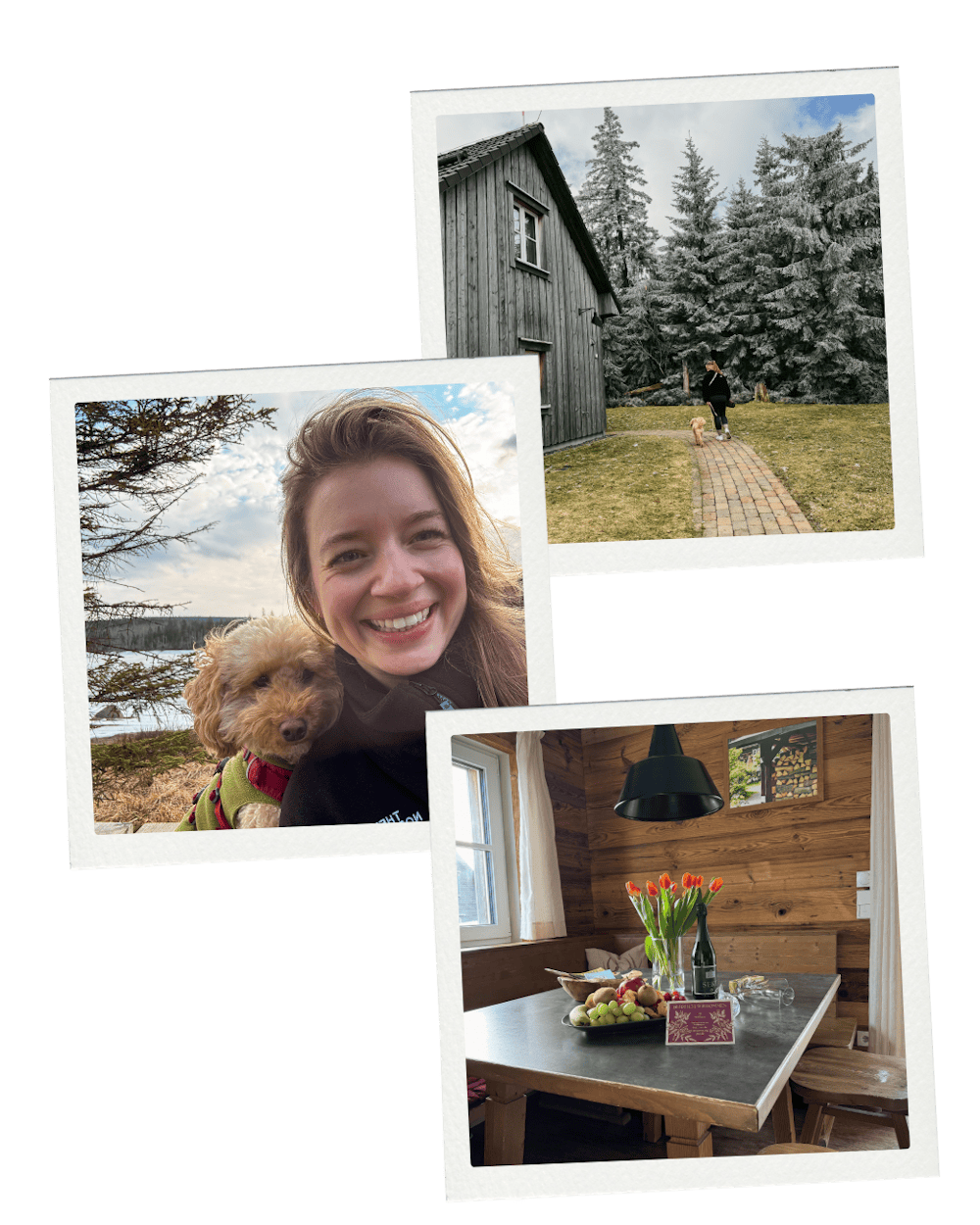 Collage über das Torfhaus Harzresort