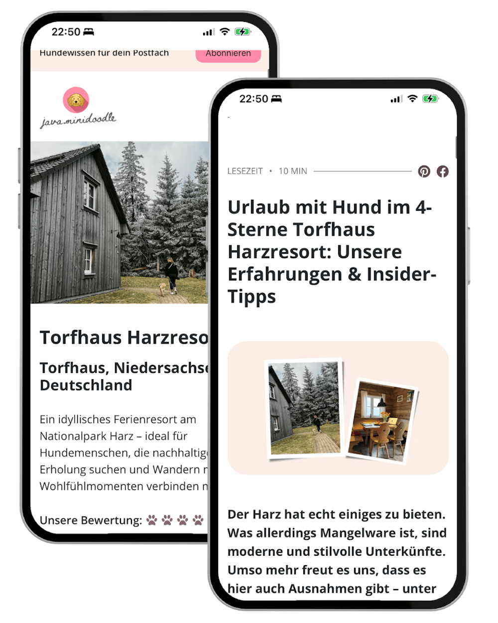 Zwei iPhones, die einen Artikel über das Torfhaus Harzresort zeigen