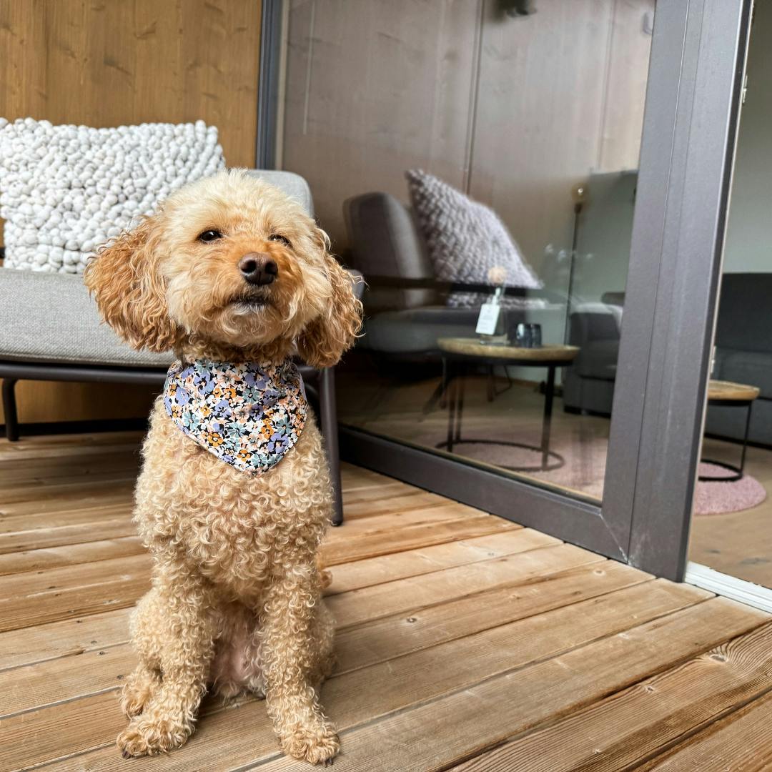 Erfahrungsbericht: Hotel Bergzeit