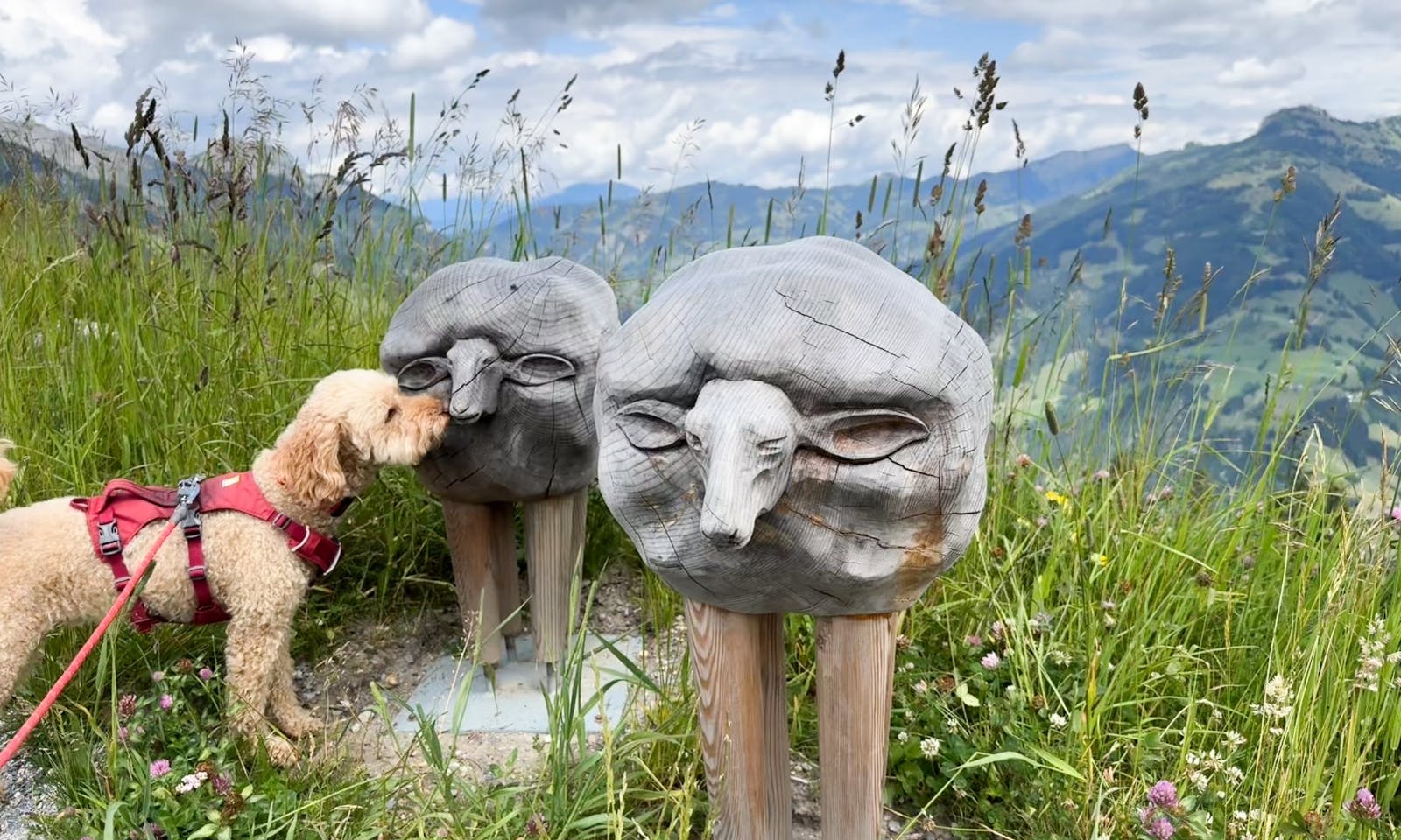 Hund, der auf zwei Holz Lämmchen schaut, am Himmelsreichsee
