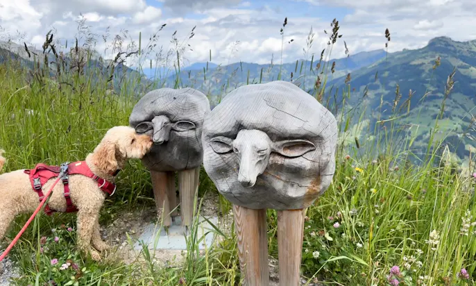 Hund, der auf zwei Holz Lämmchen schaut, am Himmelsreichsee