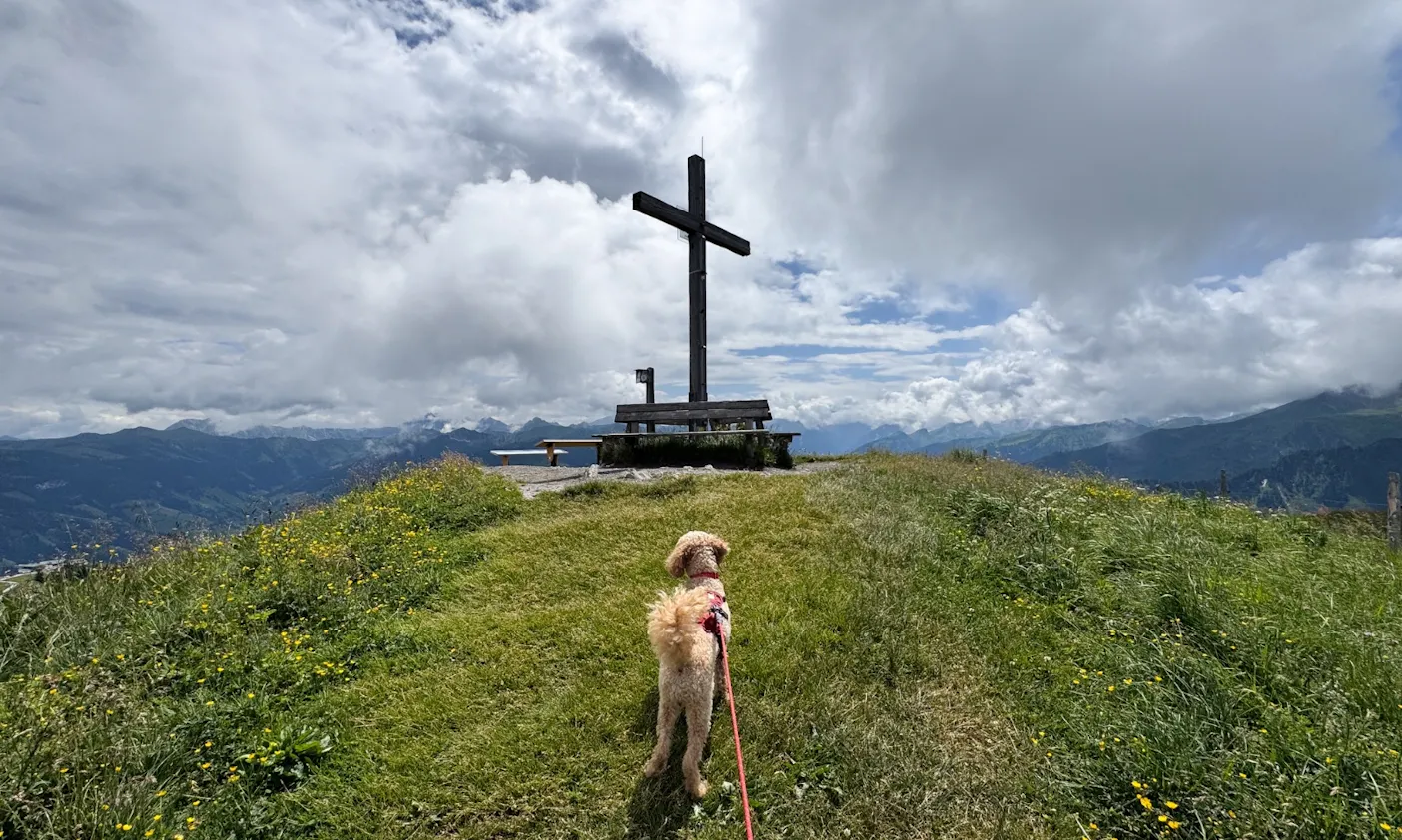 Hund vor einem Holzkreuz