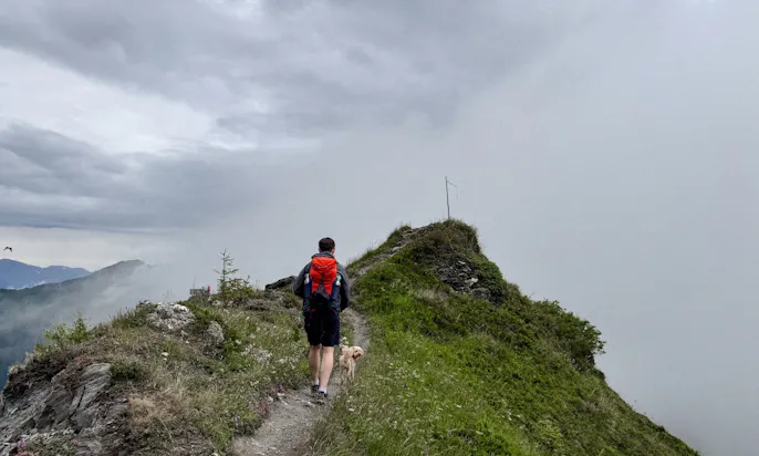 Ein Wanderer mit Hund in Richtung Spiegelsee