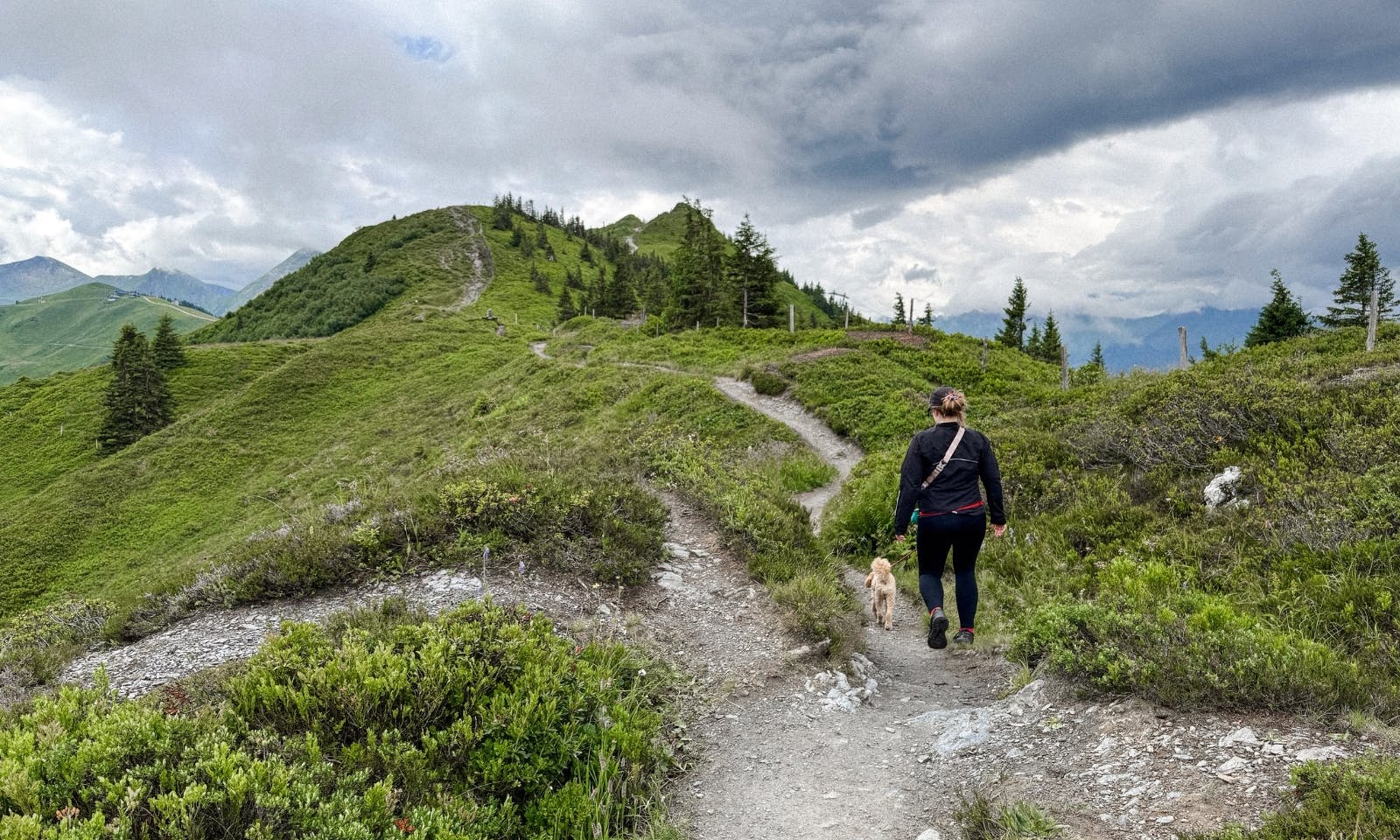 Eine Wanderin mit Hund in Richtung Spiegelsee
