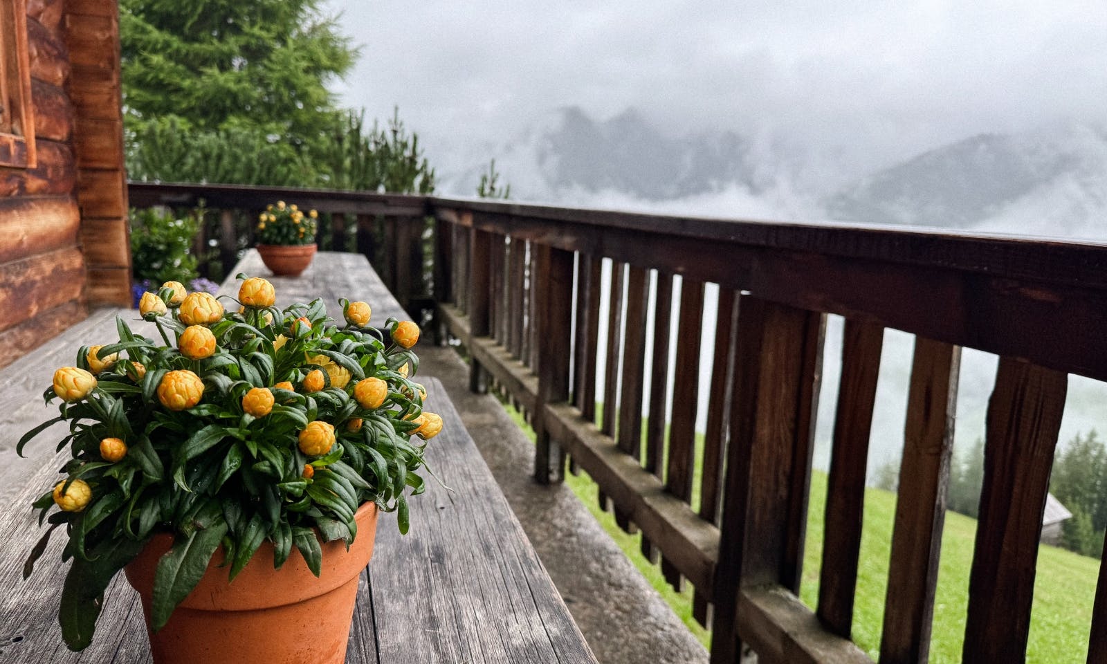 Außenterrasse der Gerstreitalm in Großarltal