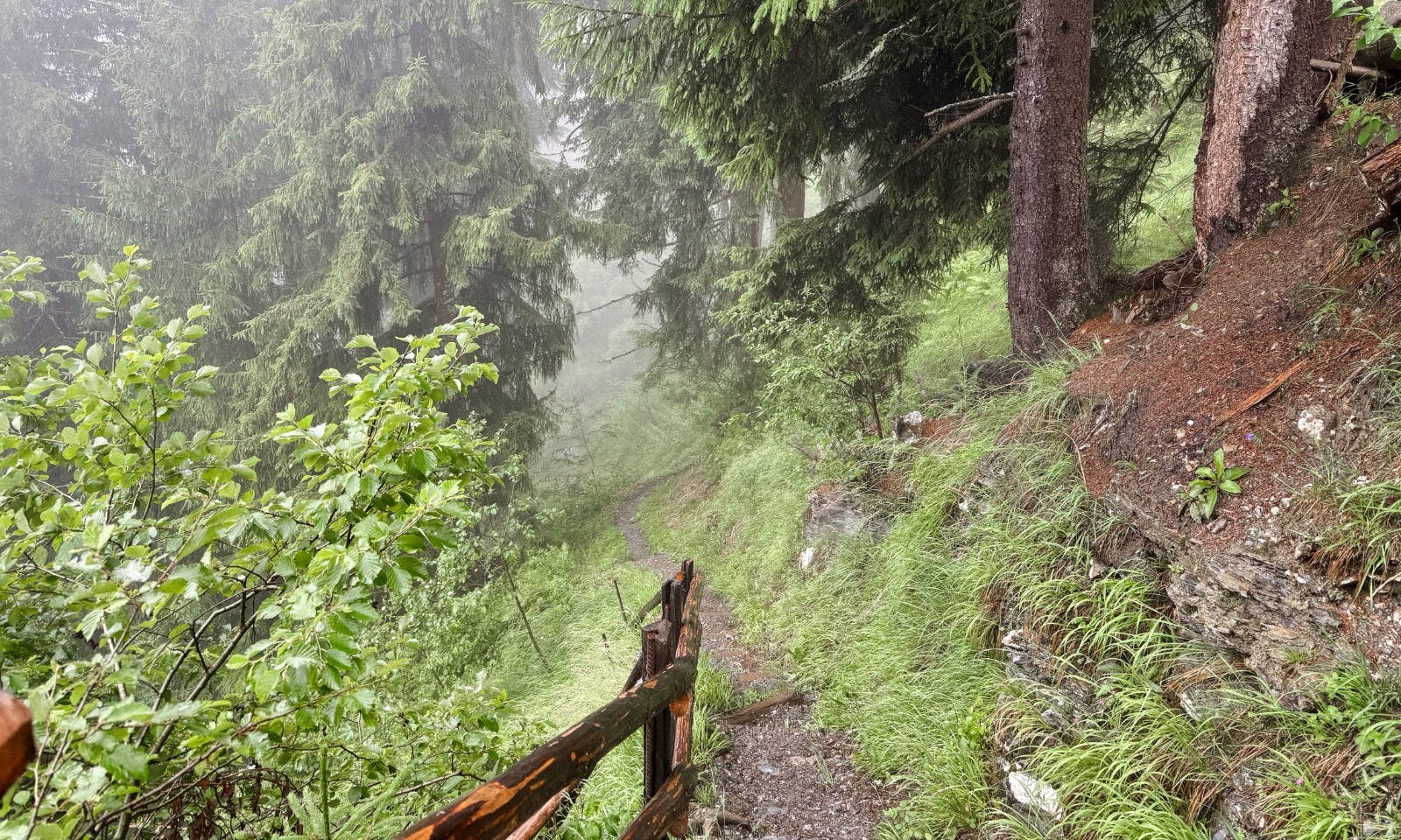 Weg zur Gerstreitalm in Großarltal