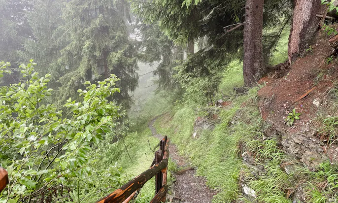 Weg zur Gerstreitalm in Großarltal