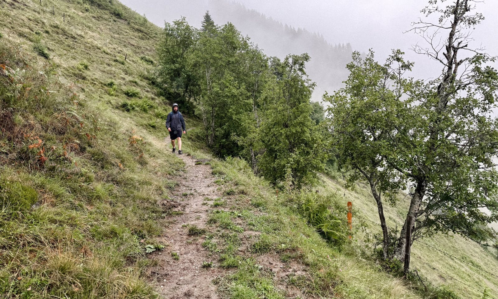 Mann auf dem Weg zur Gerstreitalm in Großarltal