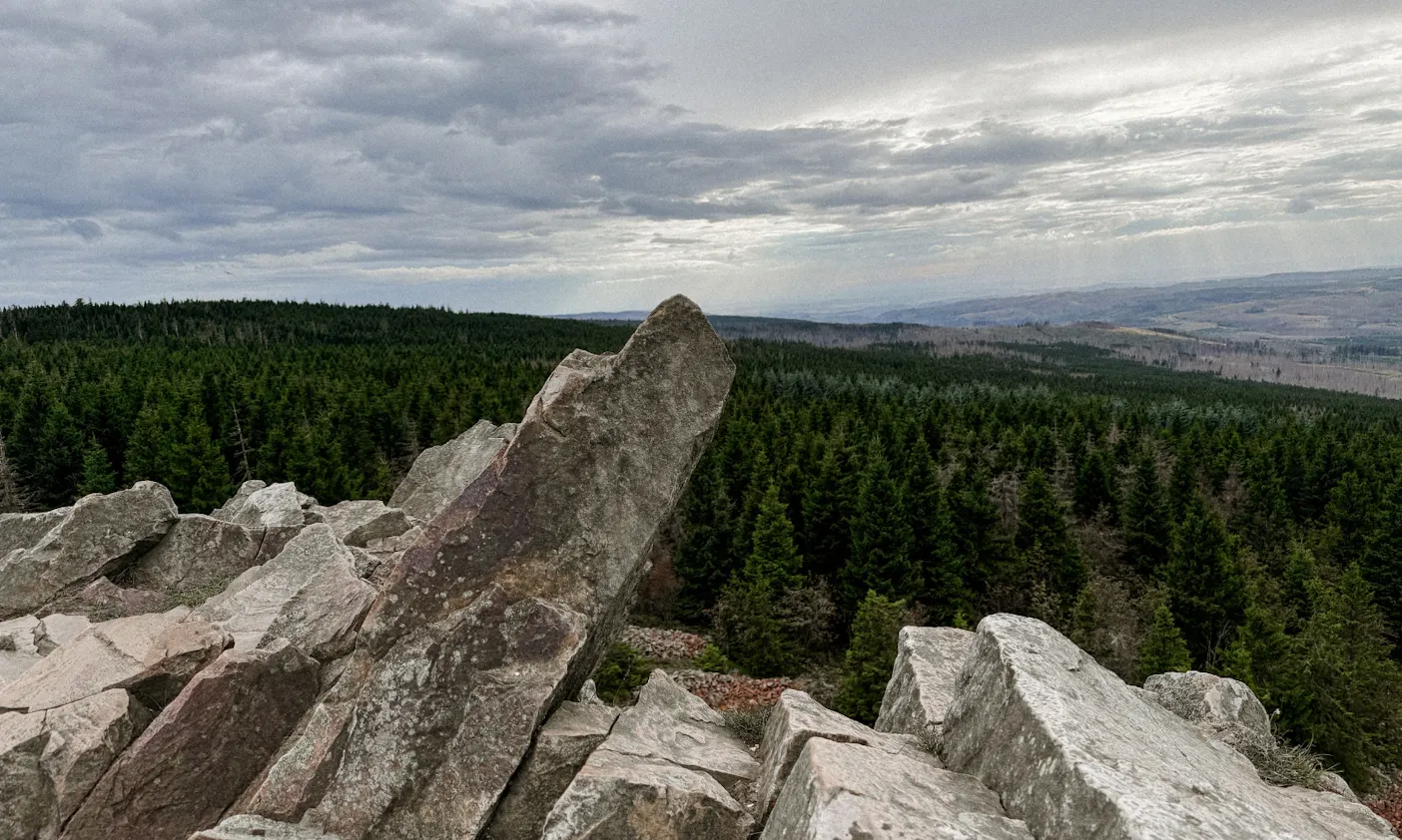 Blick auf die Wälder von der Wolfswarte im Harz